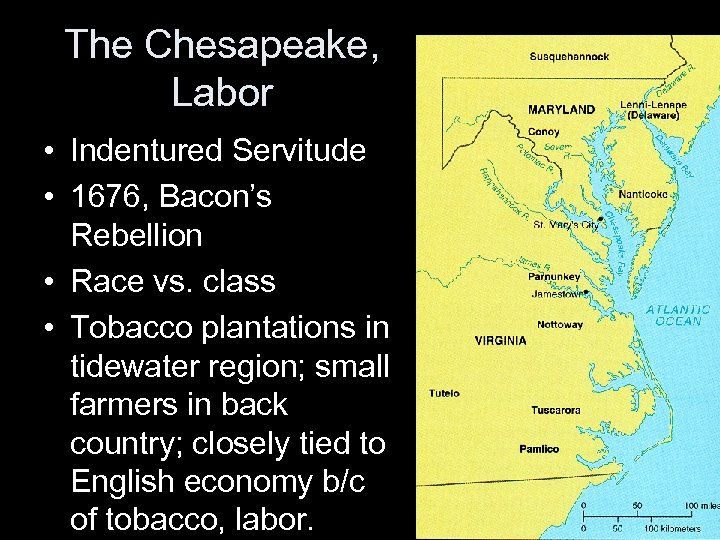 The Chesapeake, Labor • Indentured Servitude • 1676, Bacon’s Rebellion • Race vs. class