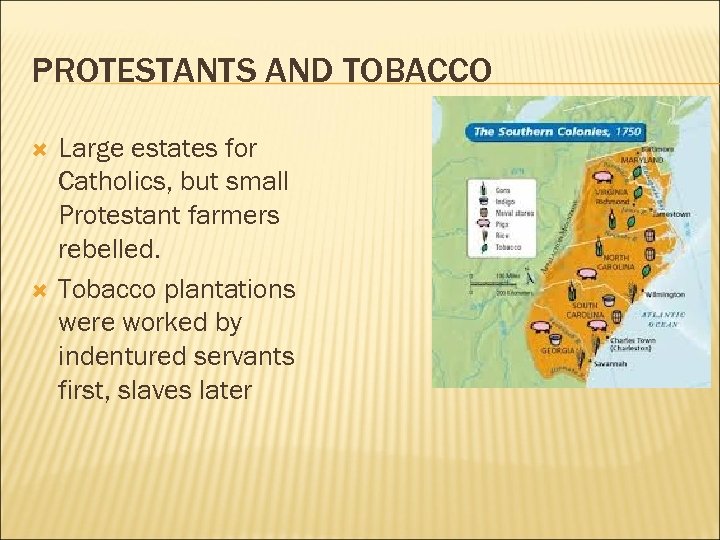PROTESTANTS AND TOBACCO Large estates for Catholics, but small Protestant farmers rebelled. Tobacco plantations