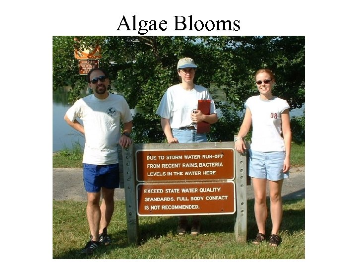 Algae Blooms 