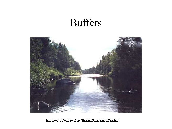 Buffers http: //www. fws. gov/r 5 crc/Habitat/Riparianbuffers. html 