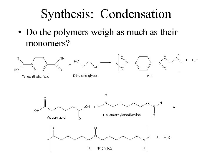 Synthesis: Condensation • Do the polymers weigh as much as their monomers? 