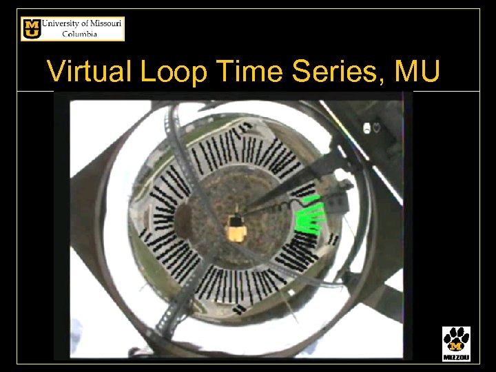 Virtual Loop Time Series, MU 