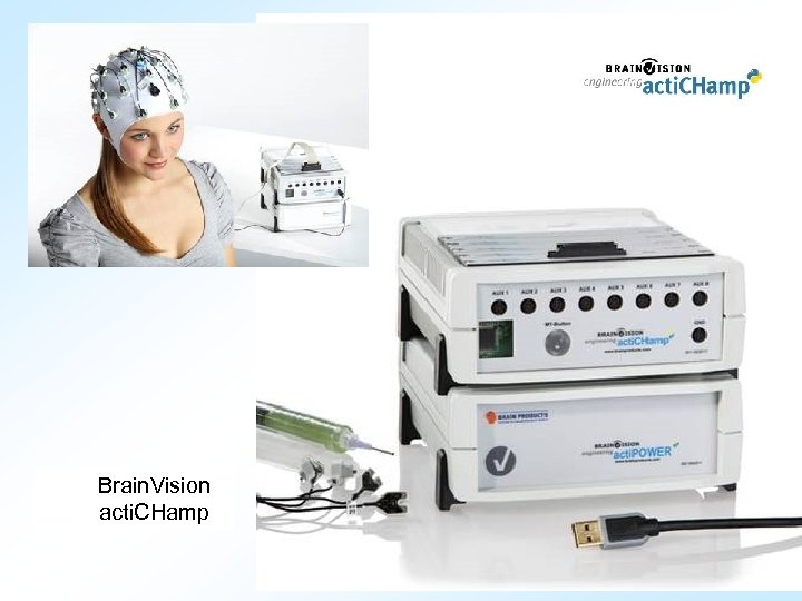 Brain. Vision acti. CHamp 