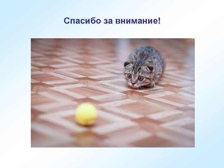 Спасибо за внимание! 