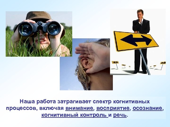 Наша работа затрагивает спектр когнитивных процессов, включая внимание, восприятие, осознание, когнитивный контроль и речь.