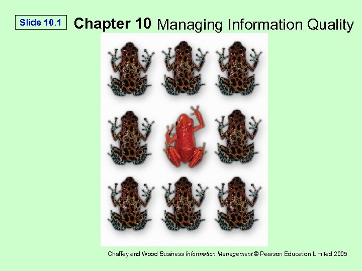 Slide 10. 1 Chapter 10 Managing Information Quality Chaffey and Wood Business Information Management