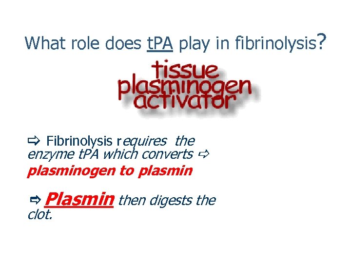 What role does t. PA play in fibrinolysis? Fibrinolysis requires the enzyme t. PA