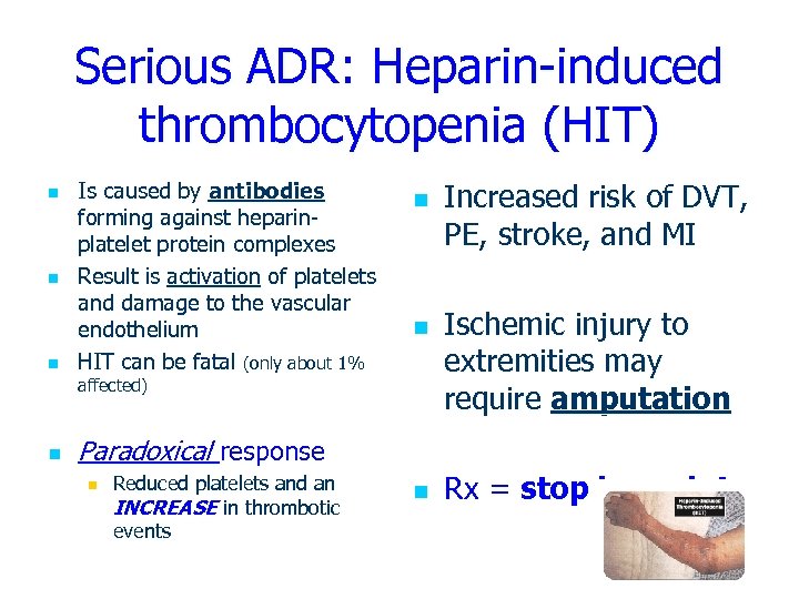 Serious ADR: Heparin-induced thrombocytopenia (HIT) n n n Is caused by antibodies forming against