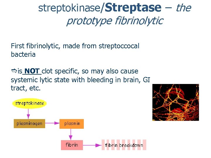 streptokinase/Streptase – the prototype fibrinolytic First fibrinolytic, made from streptoccocal bacteria is NOT clot