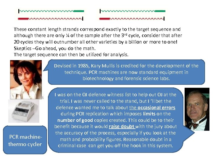 These constant length strands correspond exactly to the target sequence and although there are