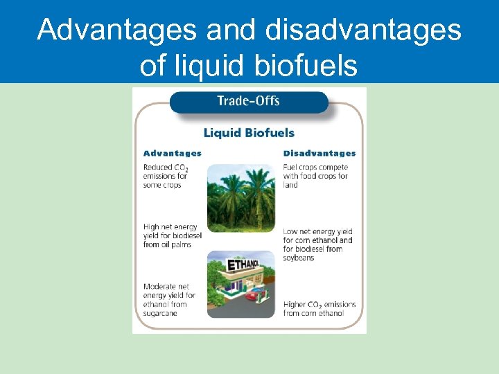 Advantages and disadvantages of liquid biofuels 