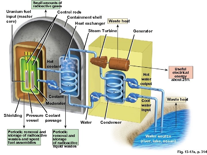 Small amounts of radioactive gases Uranium fuel input (reactor core) Control rods Containment shell