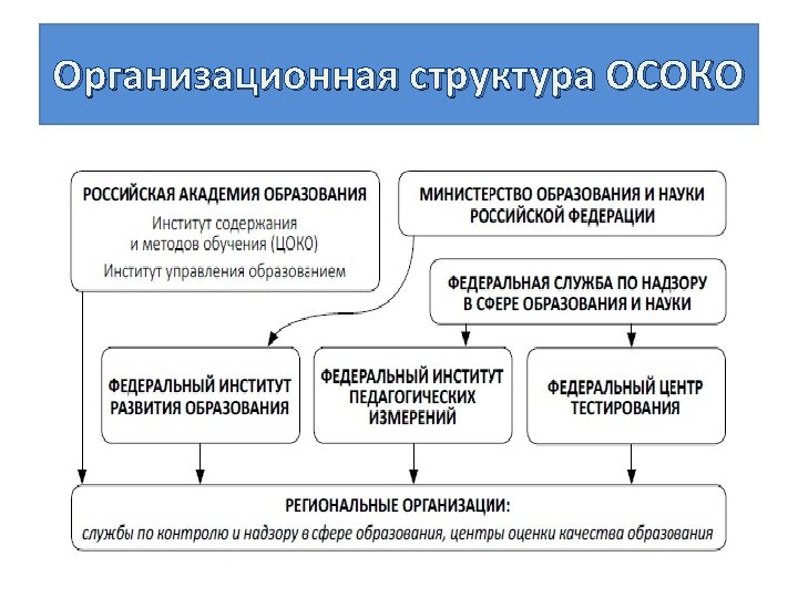 Организационная структура ОСОКО 