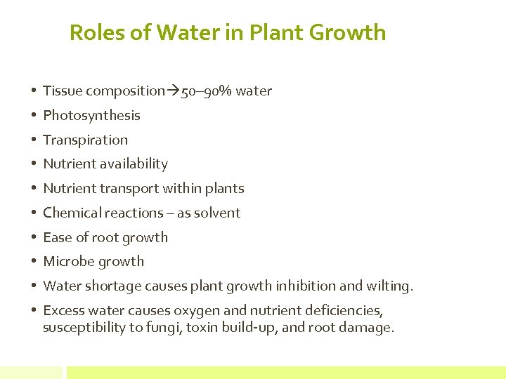 Roles of Water in Plant Growth • Tissue composition 50– 90% water • Photosynthesis