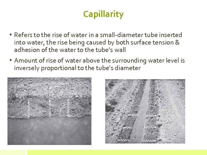 Capillarity • Refers to the rise of water in a small-diameter tube inserted into