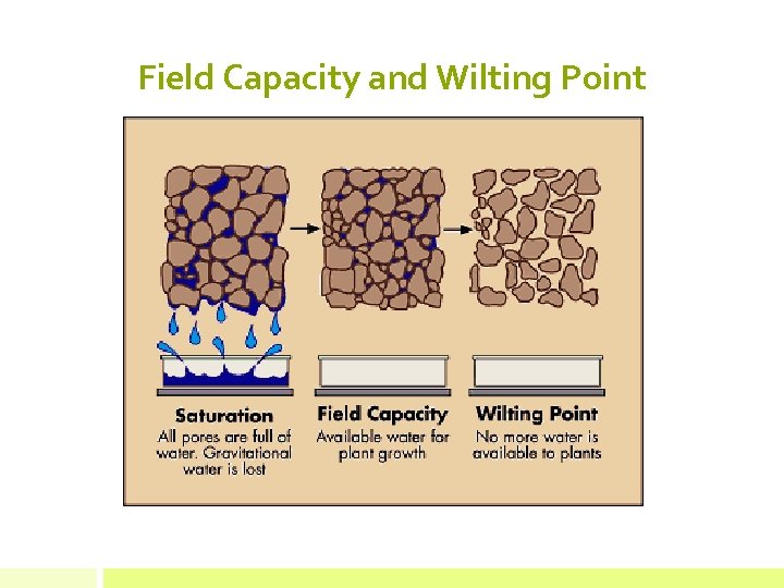 Field Capacity and Wilting Point 