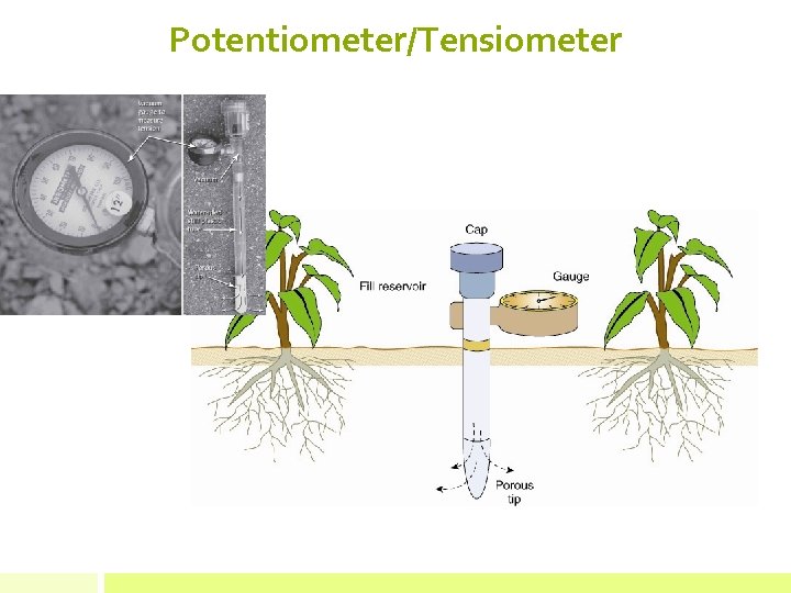 Potentiometer/Tensiometer 