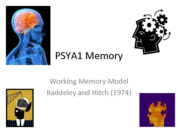 PSYA 1 Memory Working Memory Model Baddeley and Hitch (1974) 
