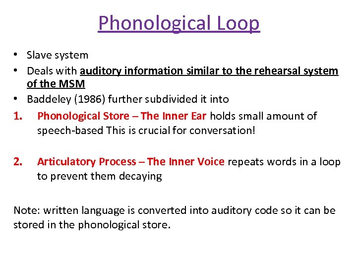Phonological Loop • Slave system • Deals with auditory information similar to the rehearsal
