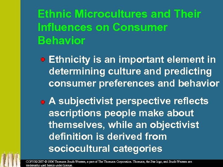 Ethnic Microcultures and Their Influences on Consumer Behavior Ethnicity is an important element in