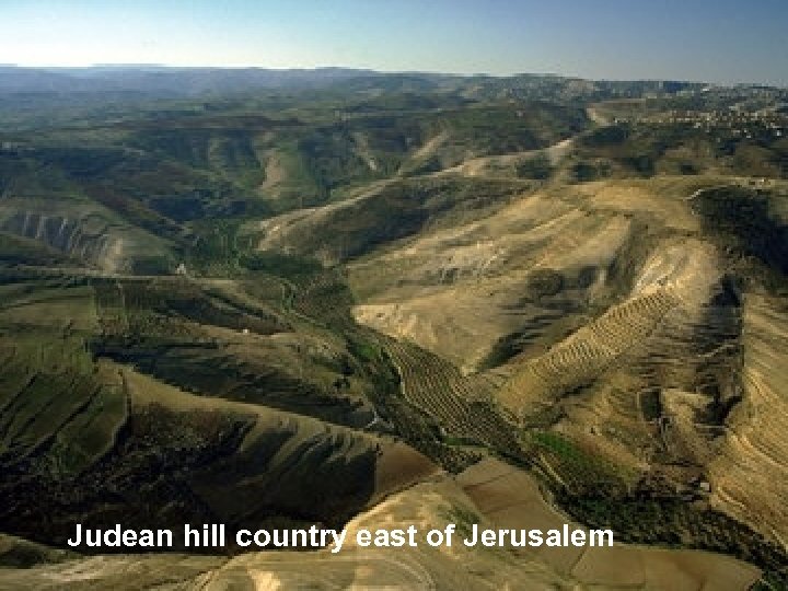 Judean hill country east of Jerusalem 