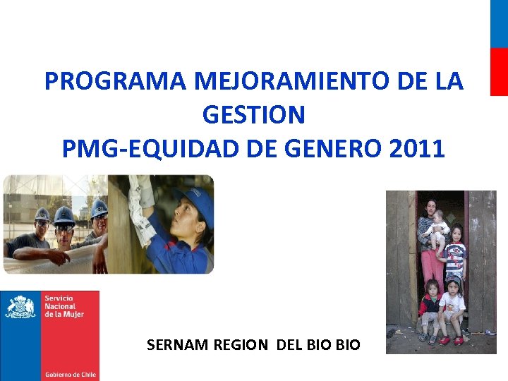 PROGRAMA MEJORAMIENTO DE LA GESTION PMG-EQUIDAD DE GENERO 2011 SERNAM REGION DEL BIO 