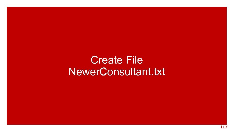 Create File Newer. Consultant. txt 117 