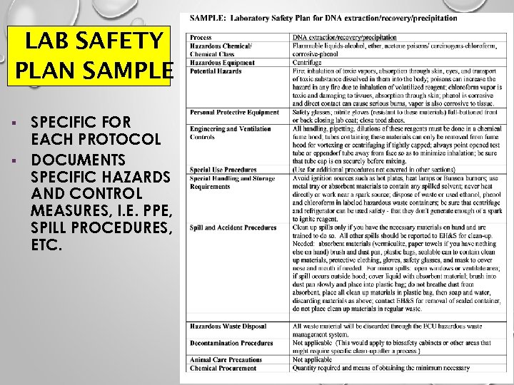 LAB SAFETY PLAN SAMPLE § § SPECIFIC FOR EACH PROTOCOL DOCUMENTS SPECIFIC HAZARDS AND