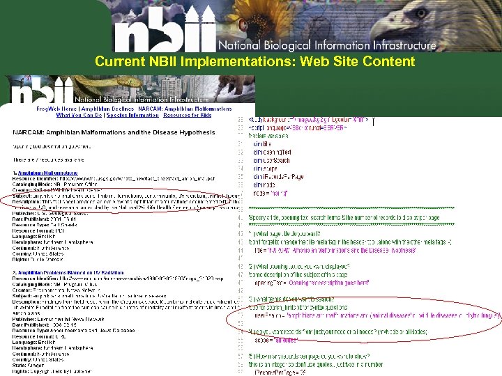 Current NBII Implementations: Web Site Content 