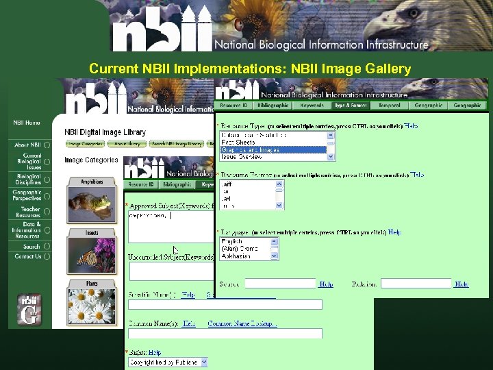 Current NBII Implementations: NBII Image Gallery 