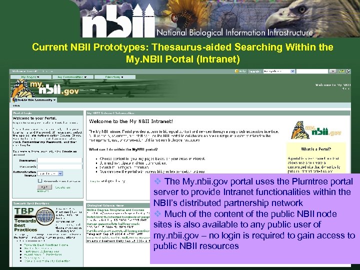 Current NBII Prototypes: Thesaurus-aided Searching Within the My. NBII Portal (Intranet) v The My.