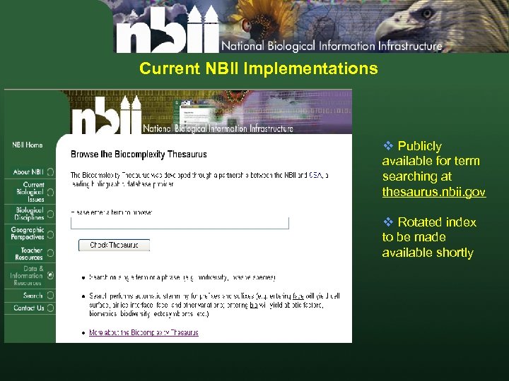 Current NBII Implementations v Publicly available for term searching at thesaurus. nbii. gov v