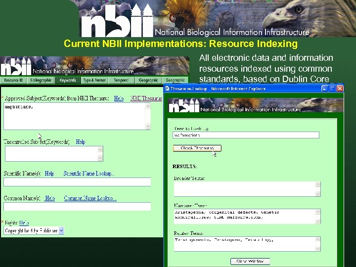 Current NBII Implementations: Resource Indexing All electronic data and information resources indexed using common