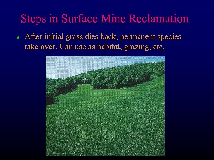 Steps in Surface Mine Reclamation l After initial grass dies back, permanent species take