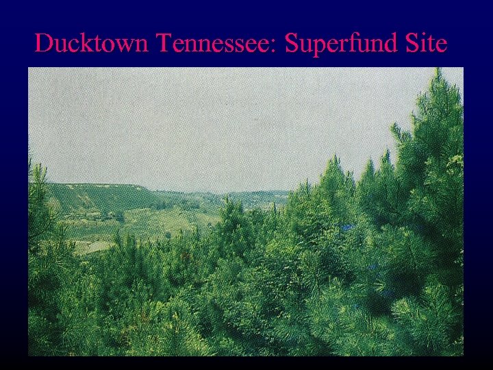 Ducktown Tennessee: Superfund Site 