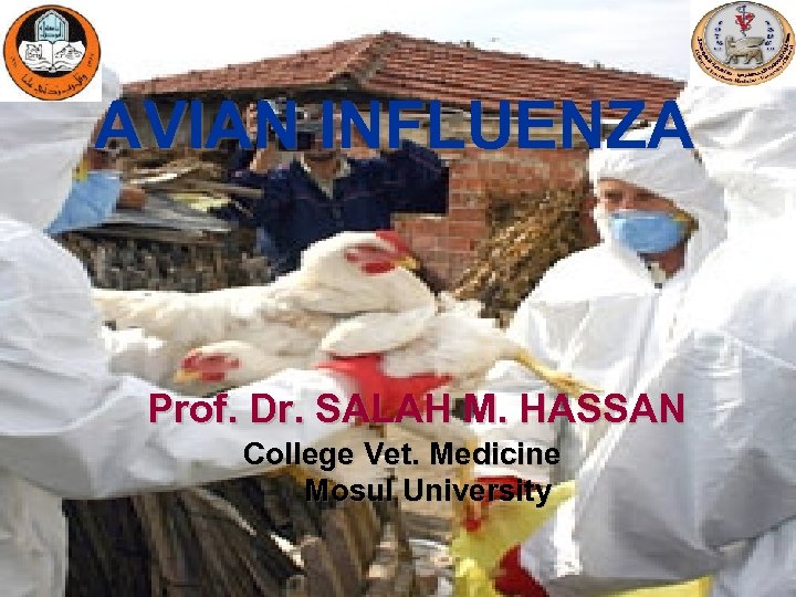 AVIAN INFLUENZA Prof. Dr. SALAH M. HASSAN College Vet. Medicine Mosul University 