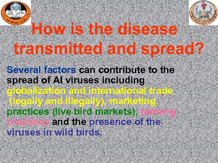 How is the disease transmitted and spread? Several factors can contribute to the spread