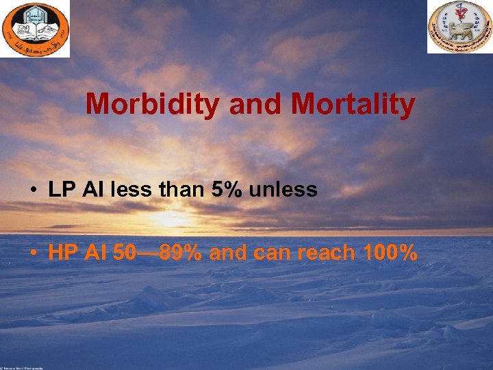 Morbidity and Mortality • LP AI less than 5% unless • HP AI 50—