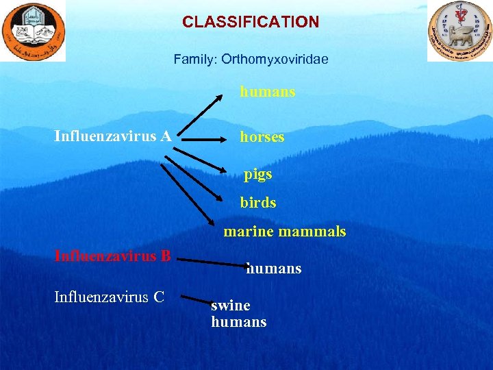 CLASSIFICATION Family: Orthomyxoviridae humans Influenzavirus A horses pigs birds marine mammals Influenzavirus B Influenzavirus