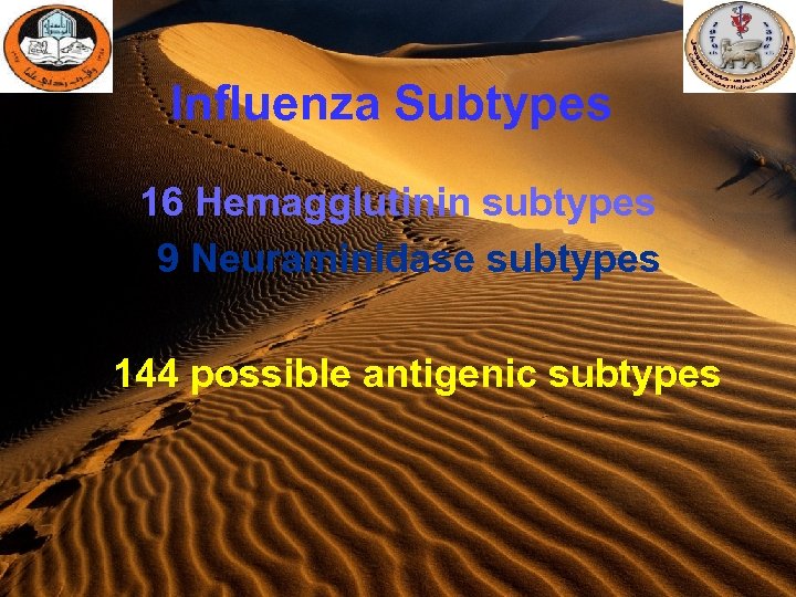 Influenza Subtypes 16 Hemagglutinin subtypes 9 Neuraminidase subtypes 144 possible antigenic subtypes 