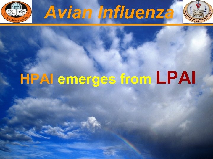 Avian Influenza HPAI emerges from LPAI 