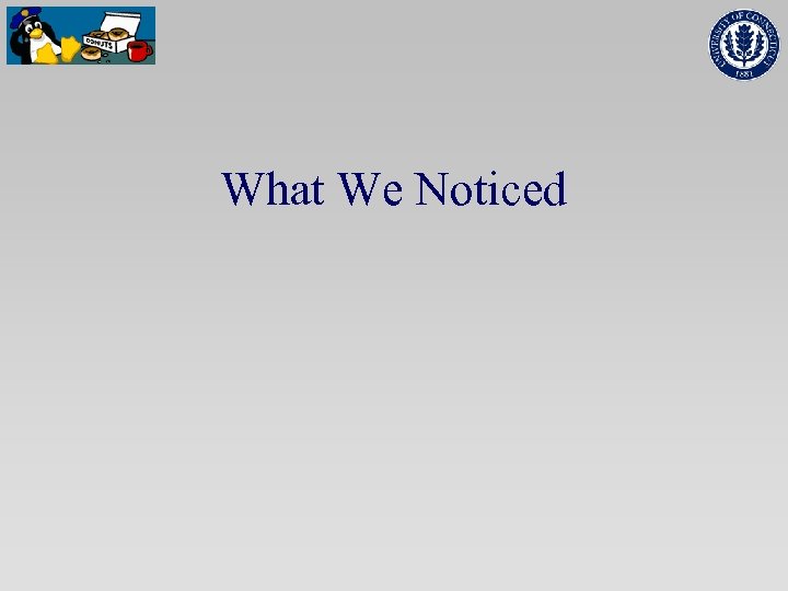 What We Noticed 