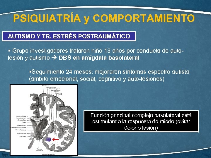 PSIQUIATRÍA y COMPORTAMIENTO AUTISMO Y TR. ESTRÉS POSTRAUMÁTICO § Grupo investigadores trataron niño 13