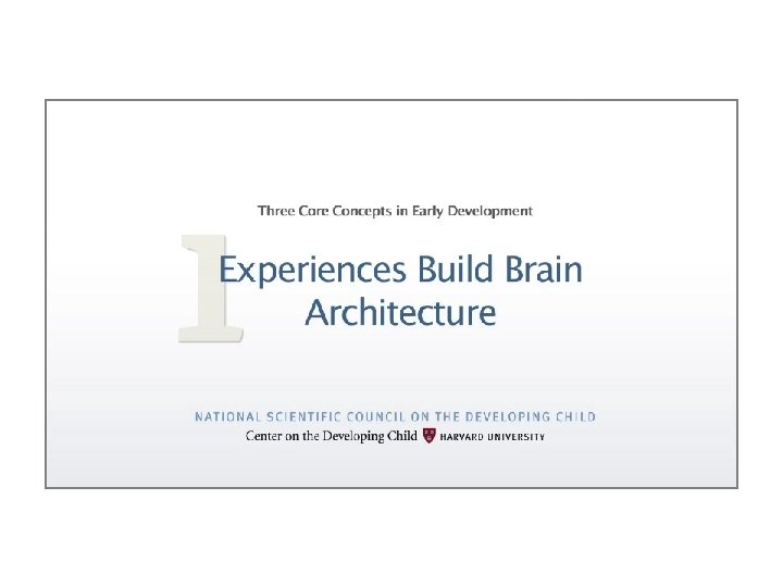 1. Experiences Build Brain Architecture - You. Tube 