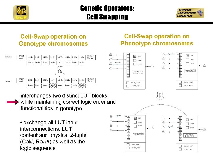 Genetic Operators: Cell Swapping Cell-Swap operation on Genotype chromosomes interchanges two distinct LUT blocks