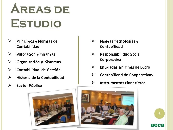 Áreas de Estudio Ø Principios y Normas de Contabilidad Ø Nuevas Tecnologías y Contabilidad