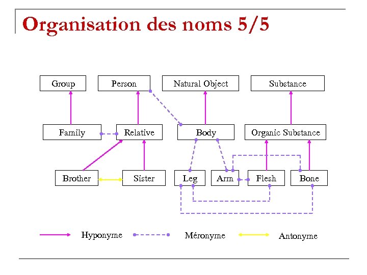 Organisation des noms 5/5 Group Person Family Brother Hyponyme Relative Sister Natural Object Body