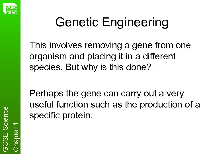 Genetic Engineering Perhaps the gene can carry out a very useful function such as