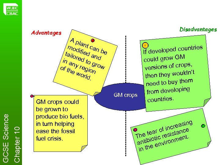 Advantages Chapter 10 GCSE Science Ap la mod nt can tailo ified an be