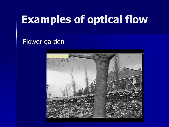 Examples of optical flow Flower garden 